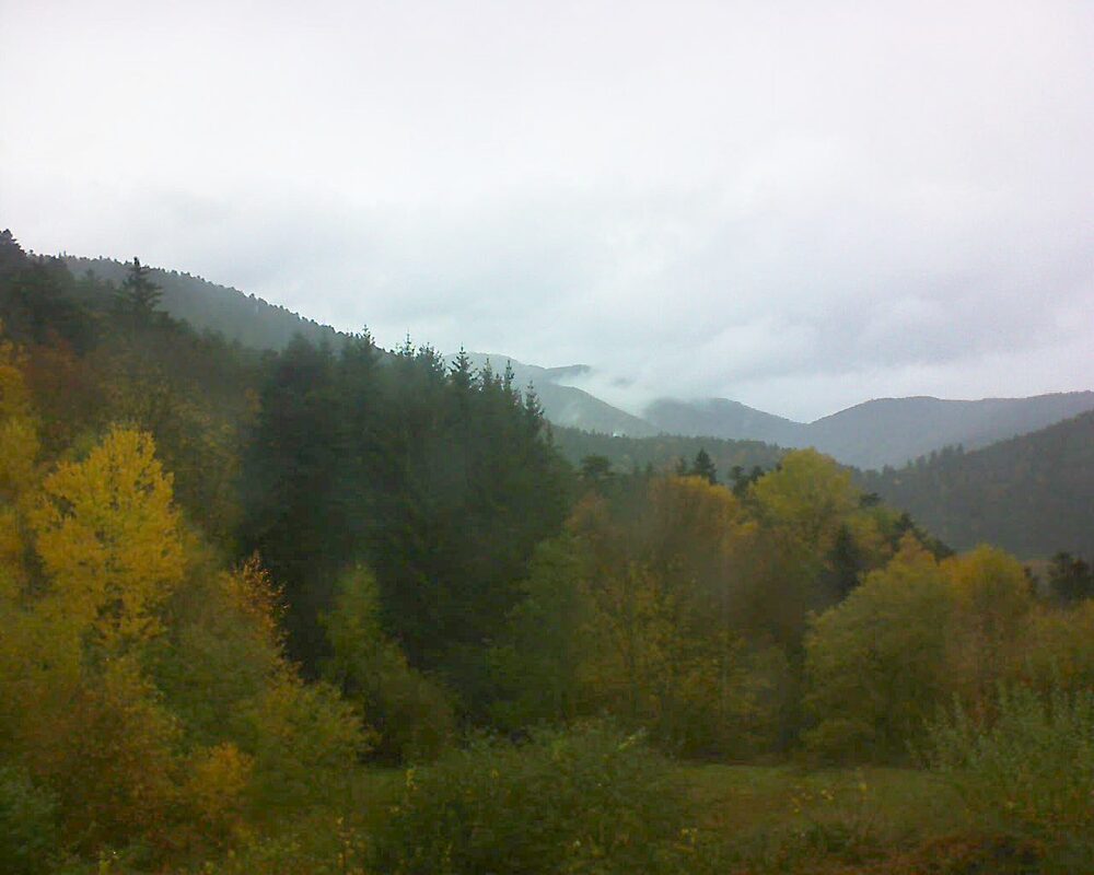 Le petit ballon (Alsace, Vosges) le 02.11.2025 à 12:45