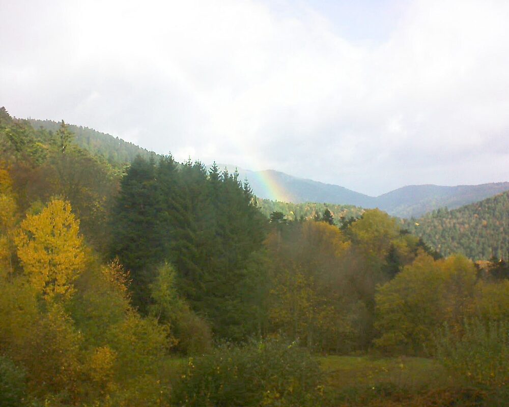 Le petit ballon (Alsace, Vosges) le 03.11.2025 à 09:45