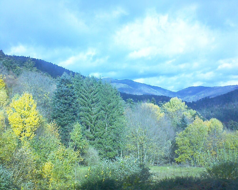 Le petit ballon (Alsace, Vosges) le 03.11.2025 à 11:45