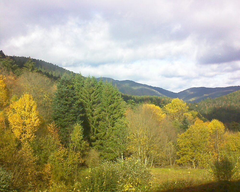 Le petit ballon vu depuis le Domaine Langmatt à Murbach le 03.11.2025 à 12:30 Le petit ballon (Alsace, Vosges) le 03.11.2025 à 12:30