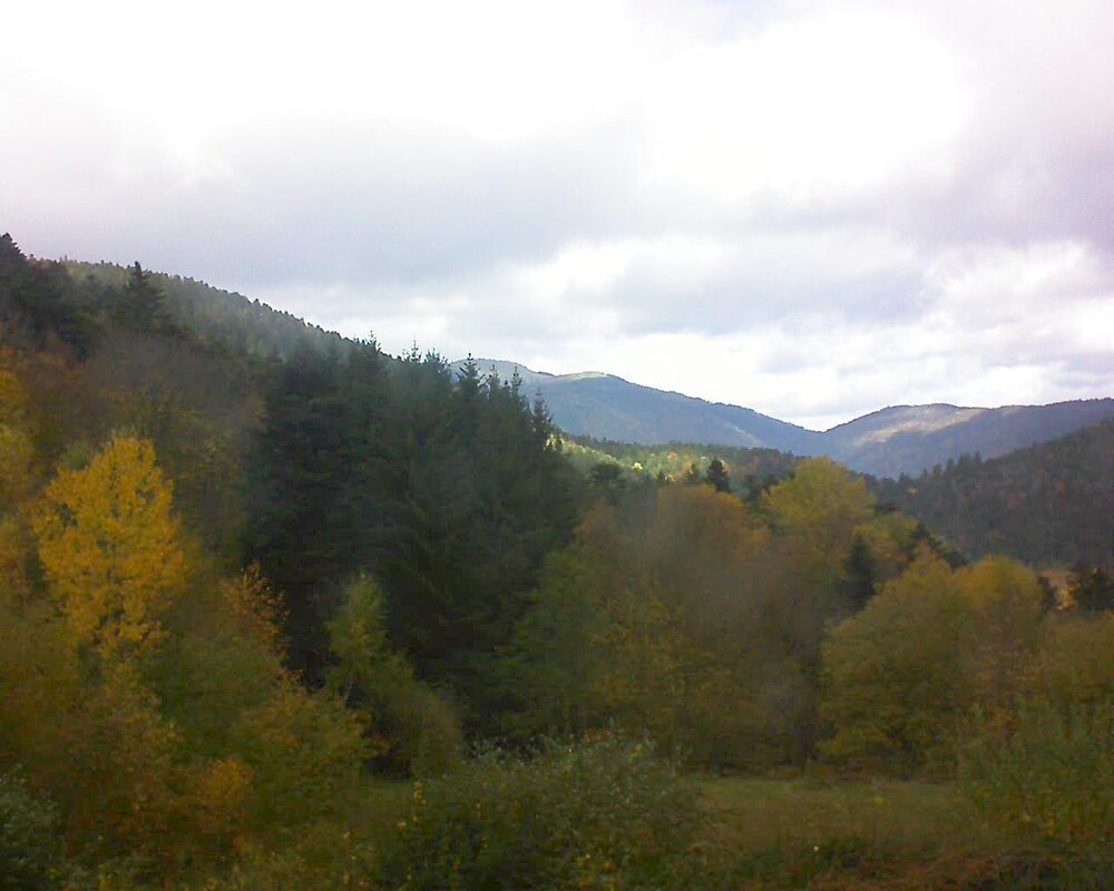 Le petit ballon (Alsace, Vosges) le 03.11.2025 à 12:45