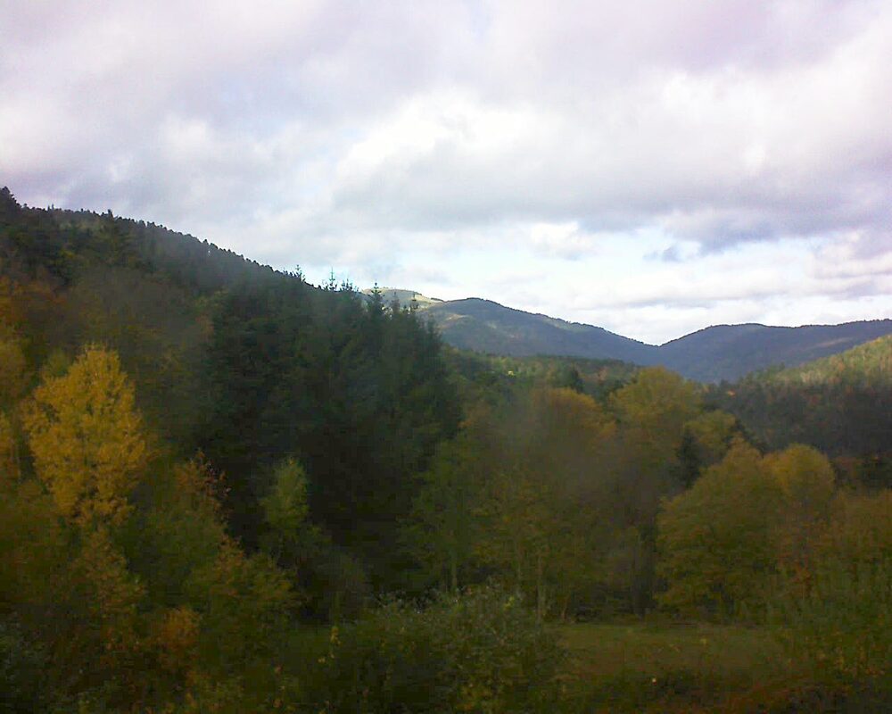 Le petit ballon (Alsace, Vosges) le 03.11.2025 à 13:45