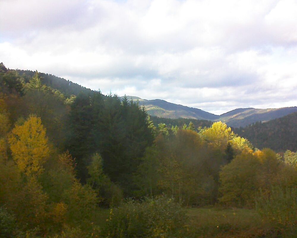 Le petit ballon vu depuis le Domaine Langmatt à Murbach le 03.11.2025 à 14:45 Le petit ballon (Alsace, Vosges) le 03.11.2025 à 14:45
