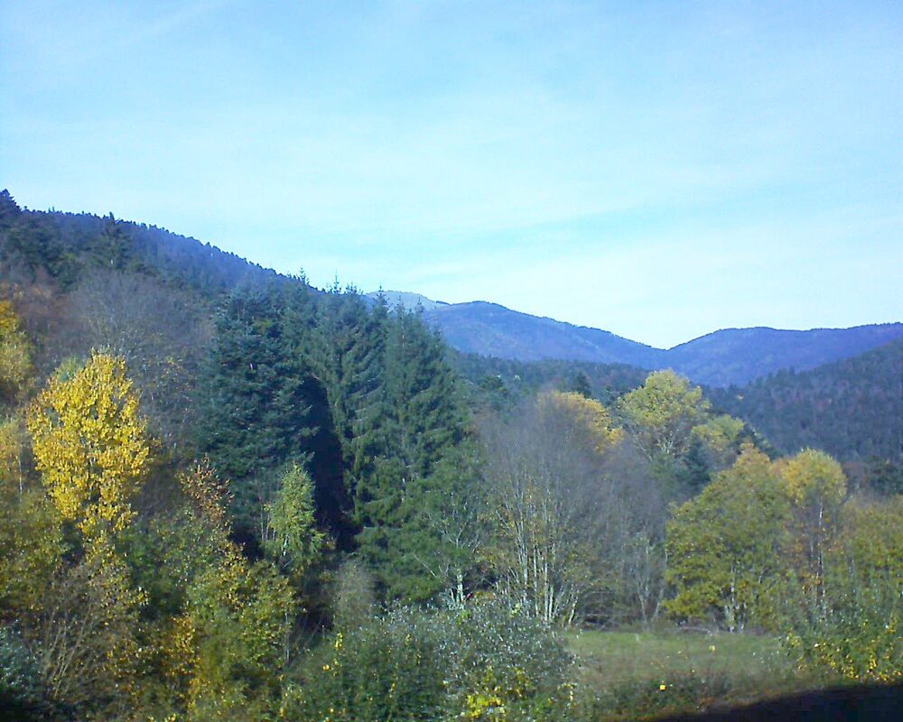 Le petit ballon (Alsace, Vosges) le 04.11.2025 à 12:45
