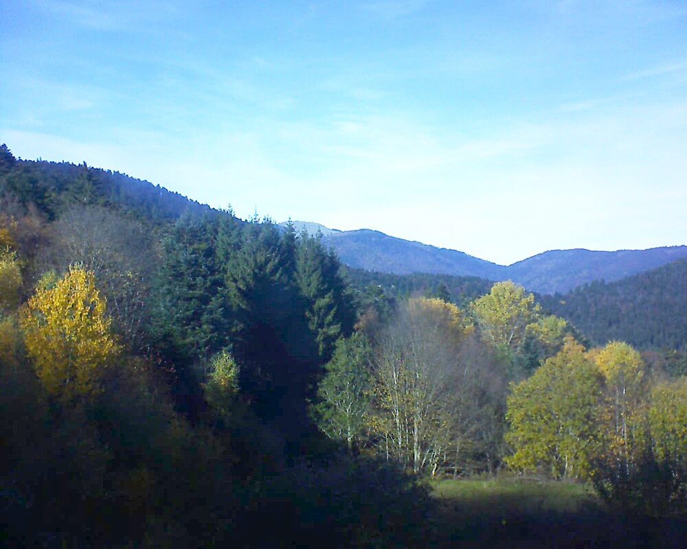 Le petit ballon (Alsace, Vosges) le 04.11.2025 à 14:00