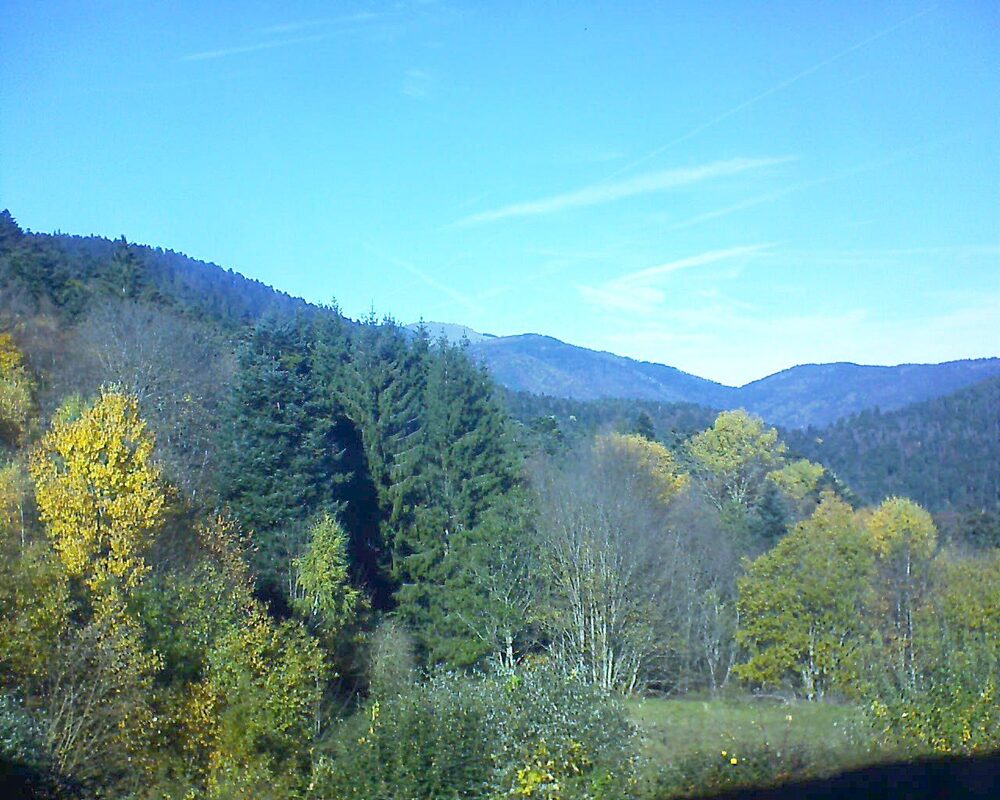 Le petit ballon (Alsace, Vosges) le 05.11.2025 à 12:45