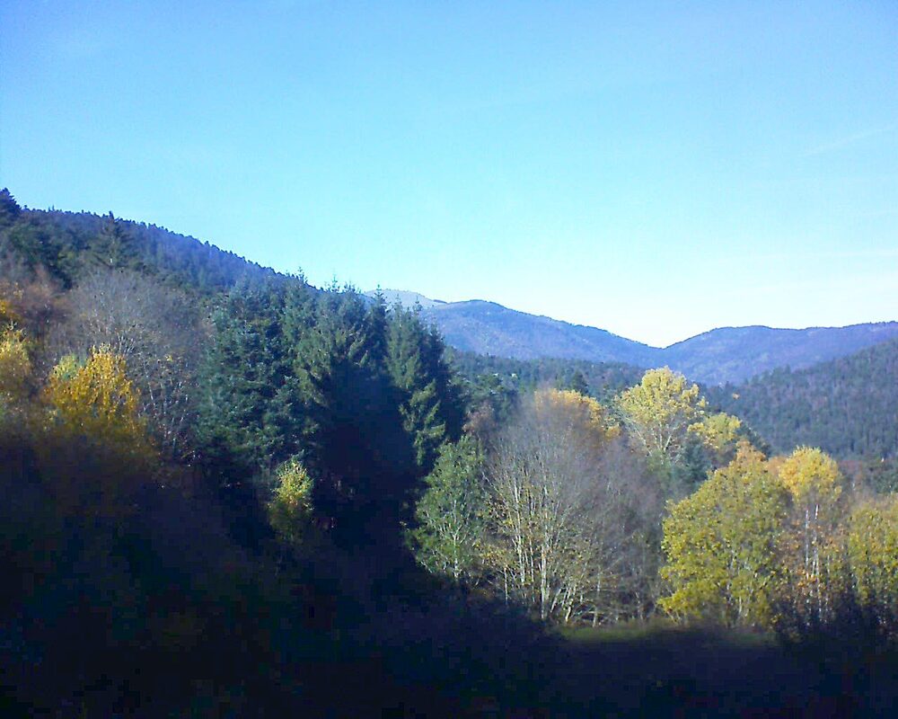 Le petit ballon (Alsace, Vosges) le 05.11.2025 à 14:00