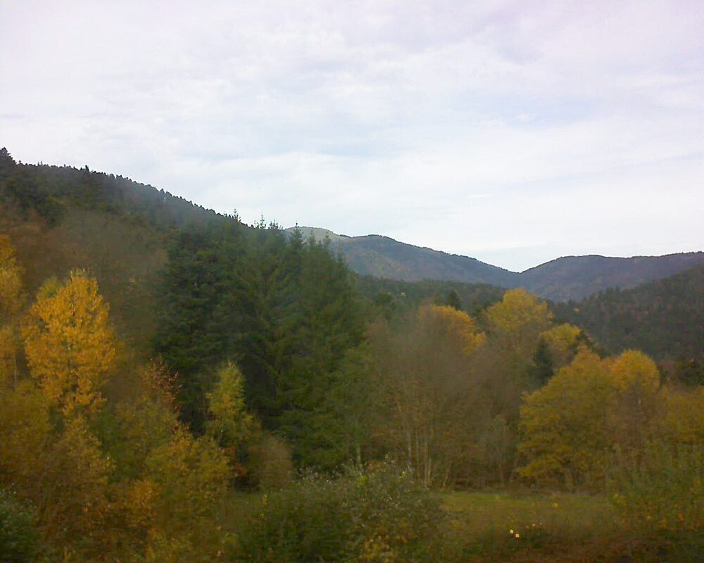 Le petit ballon (Alsace, Vosges) le 06.11.2025 à 12:45