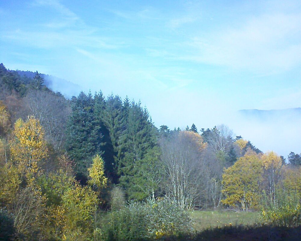 Le petit ballon (Alsace, Vosges) le 10.11.2025 à 12:45