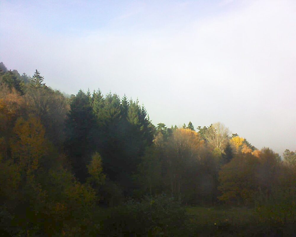 Le petit ballon vu depuis le Domaine Langmatt à Murbach le 10.11.2025 à 14:15 Le petit ballon (Alsace, Vosges) le 10.11.2025 à 14:15