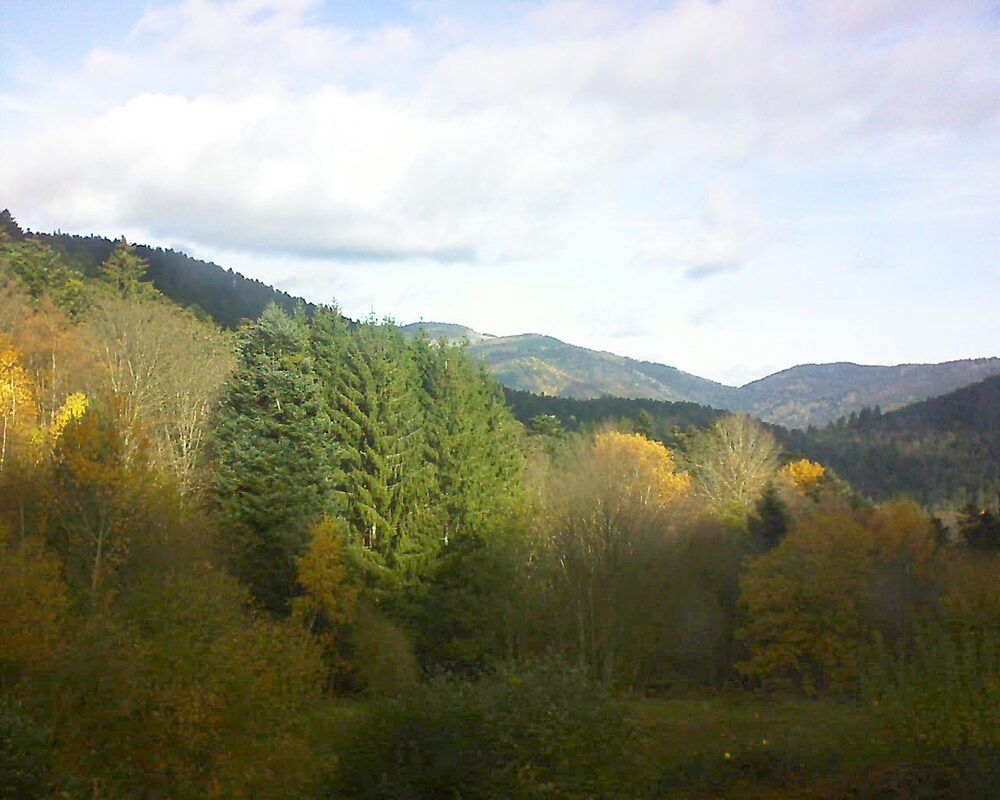 Le petit ballon (Alsace, Vosges) le 11.11.2025 à 10:30