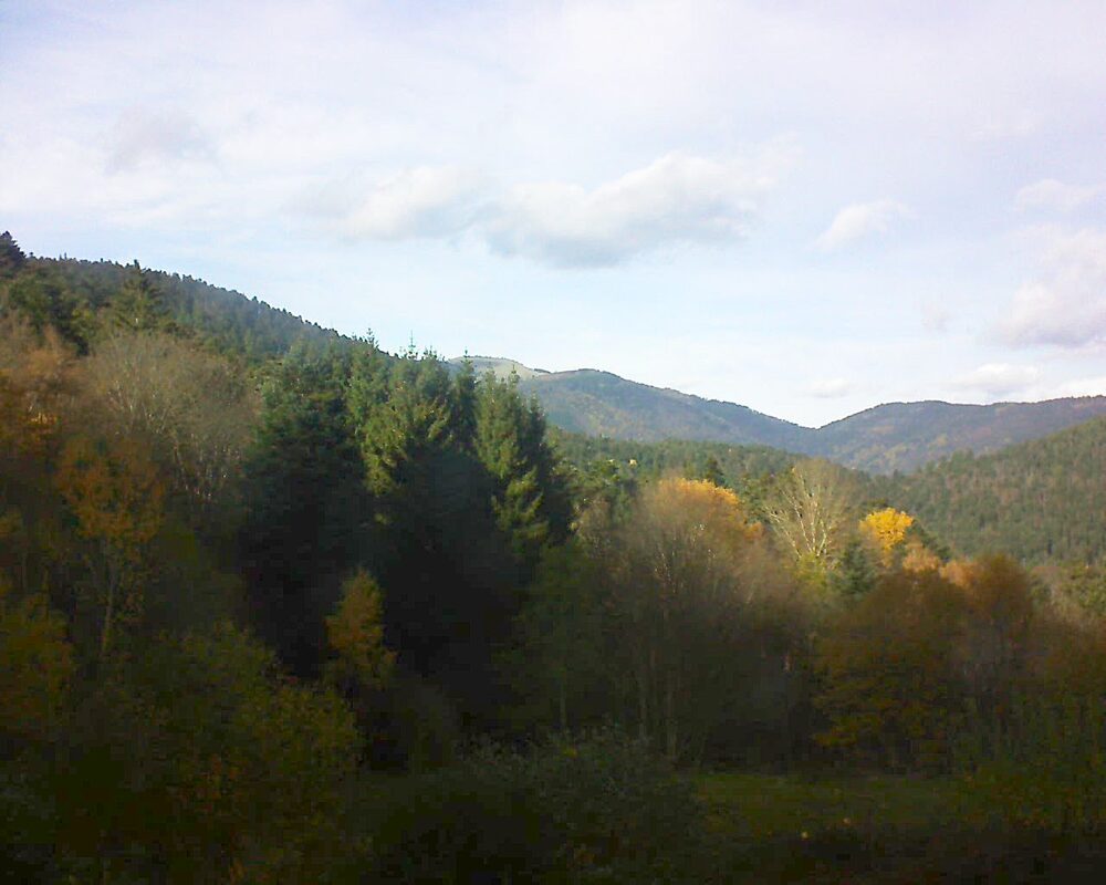 Le petit ballon vu depuis le Domaine Langmatt à Murbach le 11.11.2025 à 14:00 Le petit ballon (Alsace, Vosges) le 11.11.2025 à 14:00