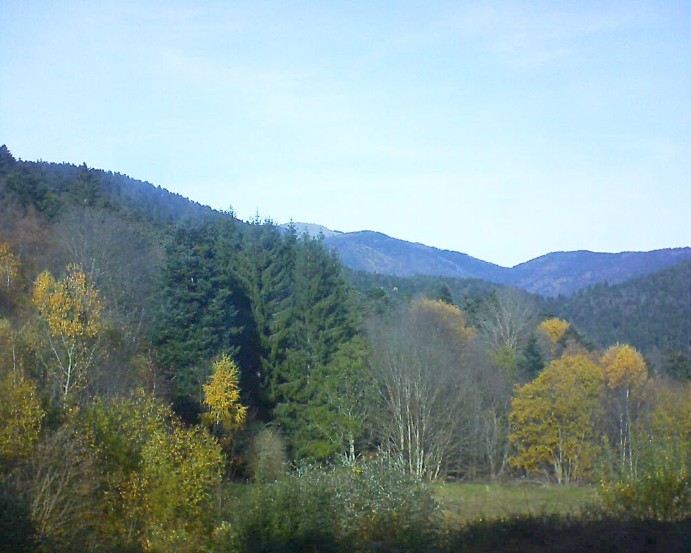 Le petit ballon (Alsace, Vosges) le 12.11.2025 à 12:45