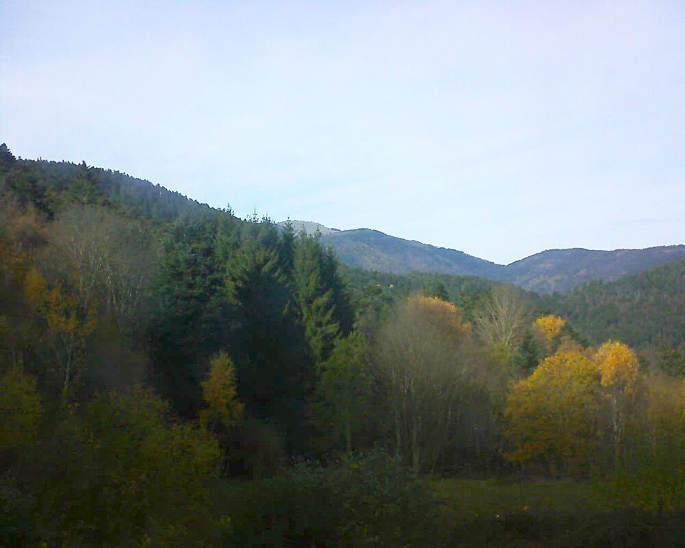 Le petit ballon (Alsace, Vosges) le 12.11.2025 à 13:45