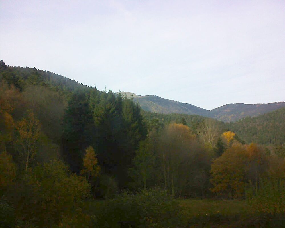 Le petit ballon (Alsace, Vosges) le 12.11.2025 à 14:00