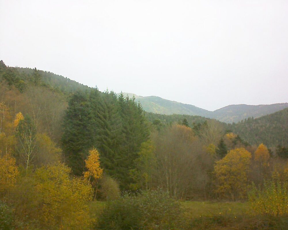 Le petit ballon (Alsace, Vosges) le 14.11.2025 à 10:30