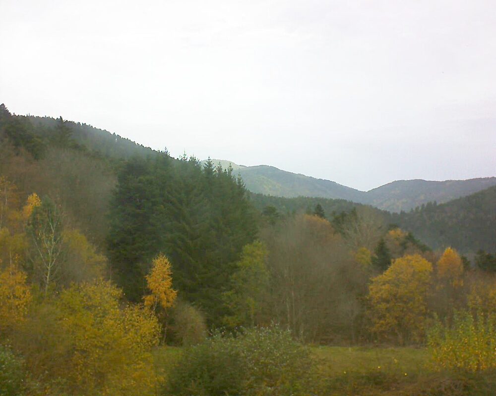 Le petit ballon vu depuis le Domaine Langmatt à Murbach le 14.11.2025 à 11:30 Le petit ballon (Alsace, Vosges) le 14.11.2025 à 11:30
