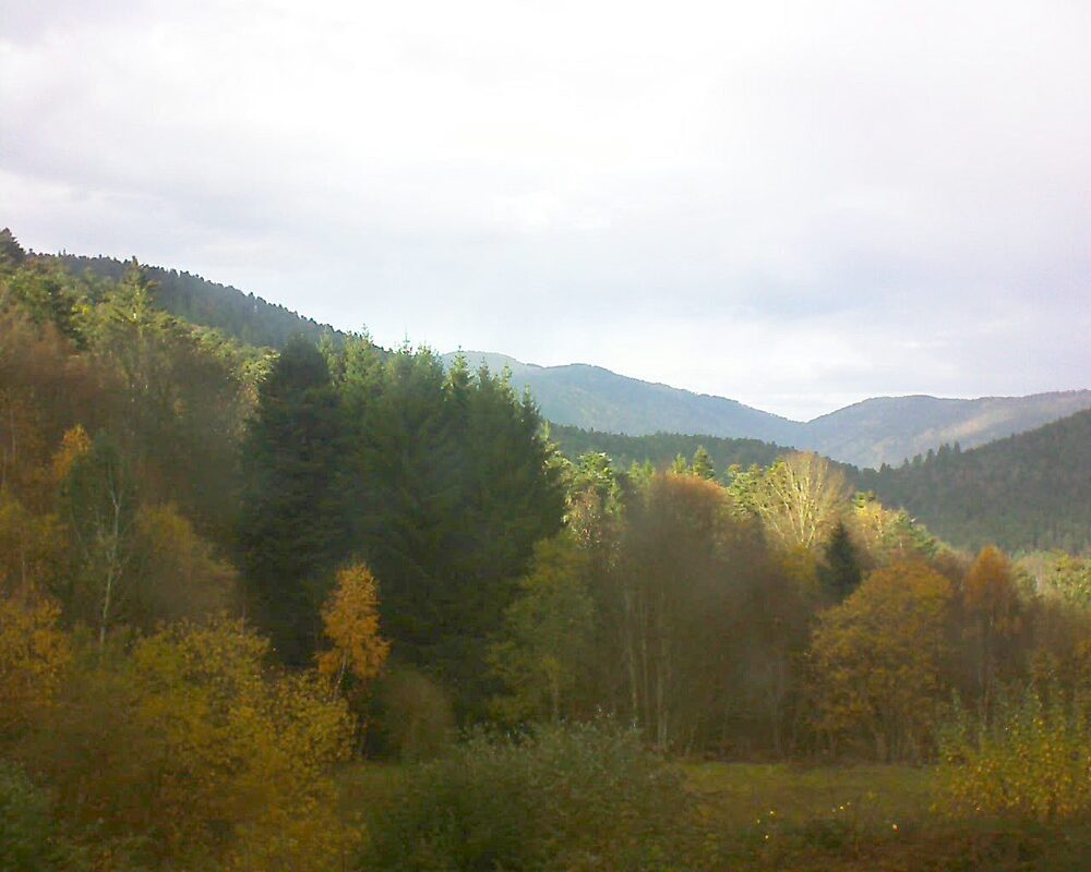 Le petit ballon vu depuis le Domaine Langmatt à Murbach le 15.11.2025 à 14:00 Le petit ballon (Alsace, Vosges) le 15.11.2025 à 14:00