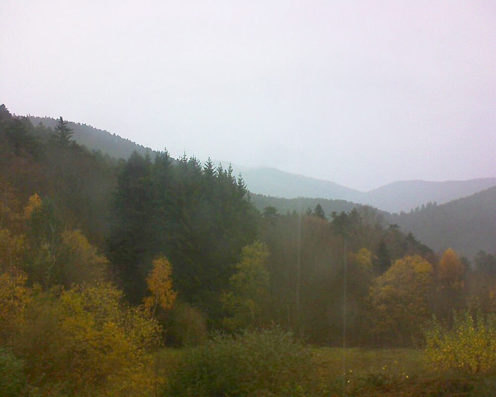 Le petit ballon (Alsace, Vosges) le 16.11.2025 à 12:45