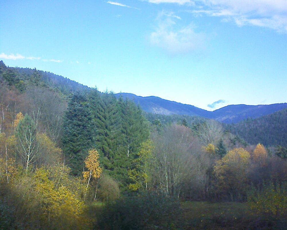 Le petit ballon vu depuis le Domaine Langmatt à Murbach le 17.11.2025 à 11:15 Le petit ballon (Alsace, Vosges) le 17.11.2025 à 11:15