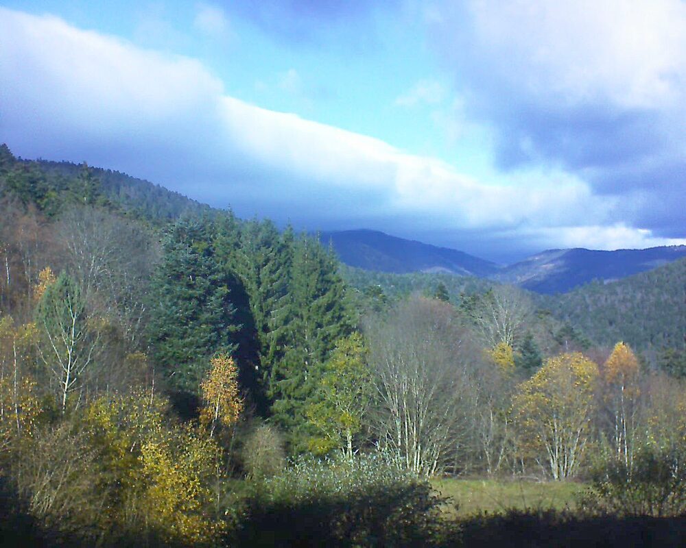 Le petit ballon (Alsace, Vosges) le 17.11.2025 à 12:45