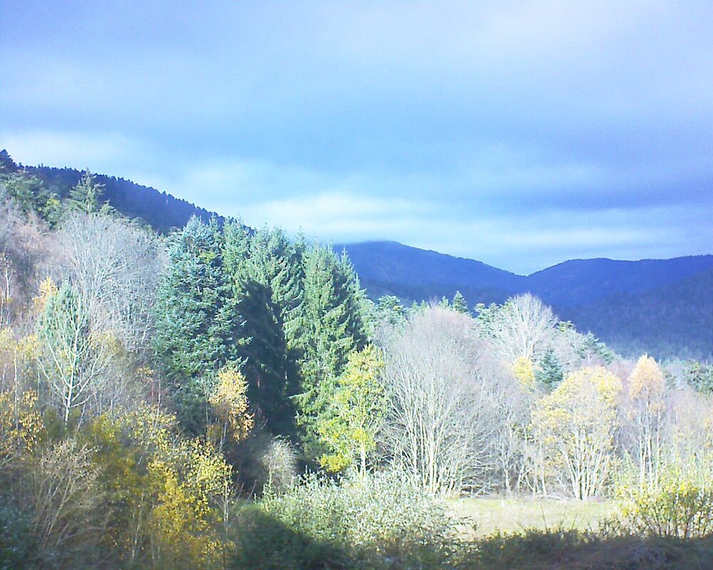 Le petit ballon (Alsace, Vosges) le 17.11.2025 à 13:15
