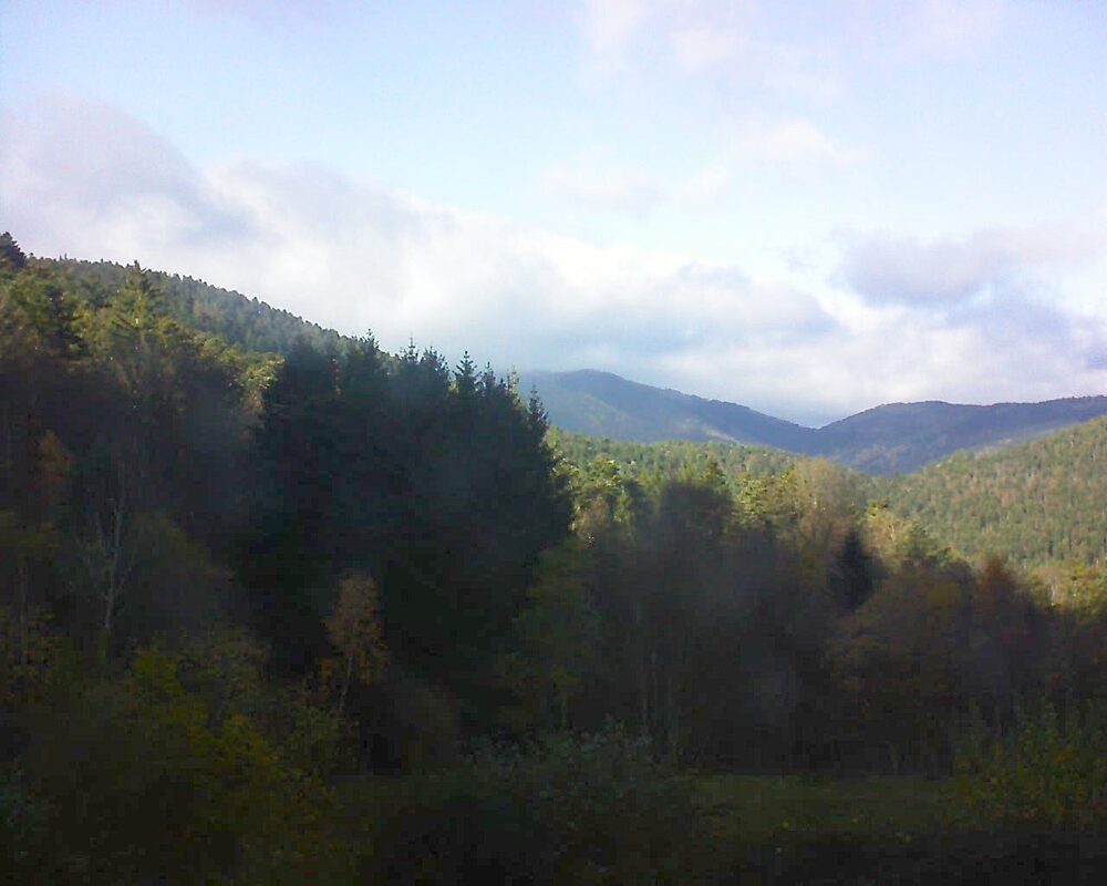 Le petit ballon (Alsace, Vosges) le 17.11.2025 à 14:00