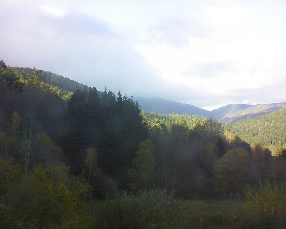 Le petit ballon vu depuis le Domaine Langmatt à Murbach le 17.11.2025 à 14:15 Le petit ballon (Alsace, Vosges) le 17.11.2025 à 14:15