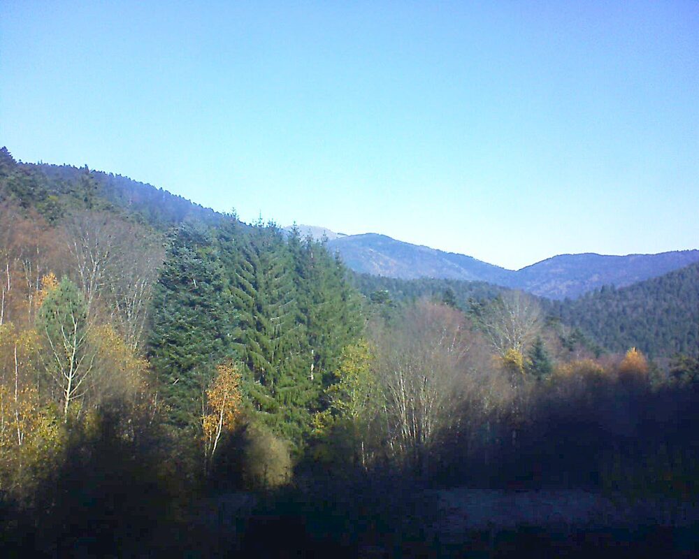 Le petit ballon (Alsace, Vosges) le 18.11.2025 à 11:00