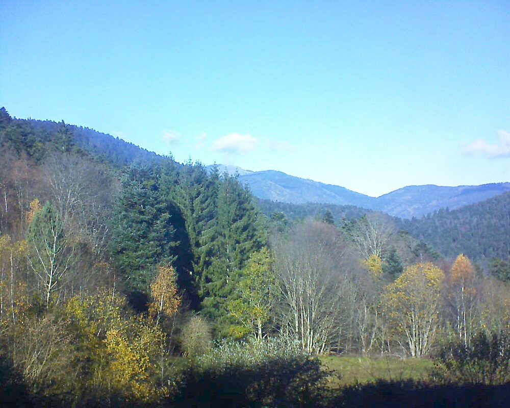 Le petit ballon (Alsace, Vosges) le 18.11.2025 à 12:45
