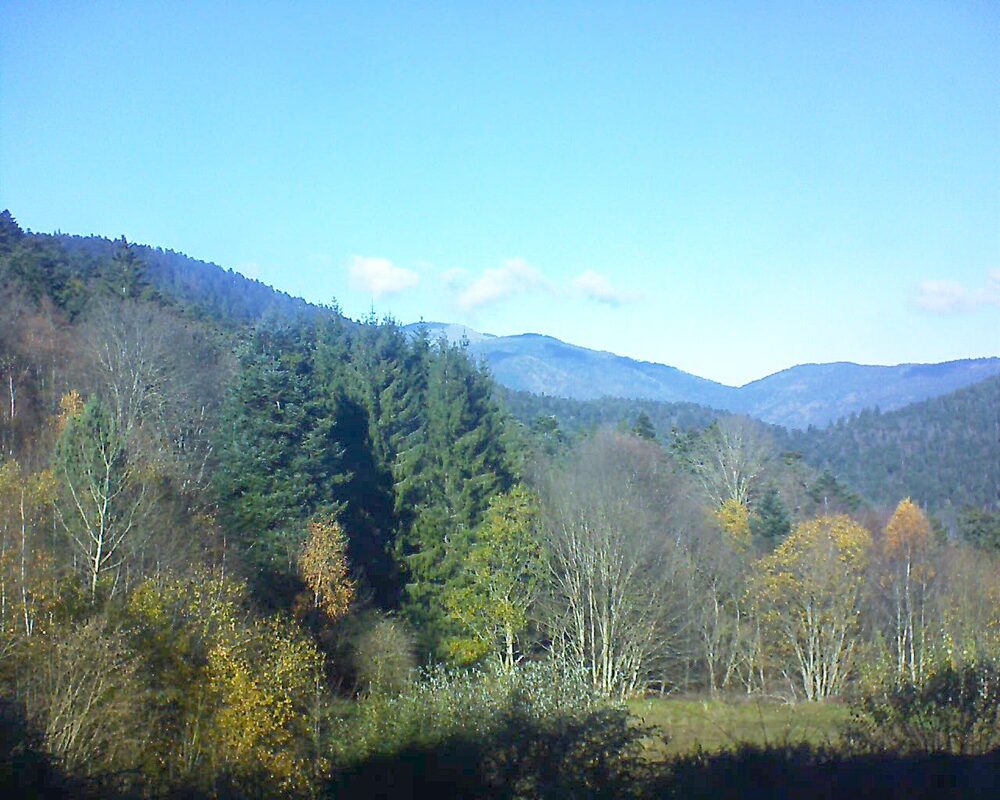 Le petit ballon (Alsace, Vosges) le 18.11.2025 à 13:00