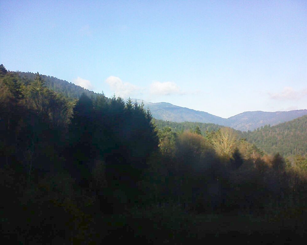 Le petit ballon (Alsace, Vosges) le 18.11.2025 à 13:45
