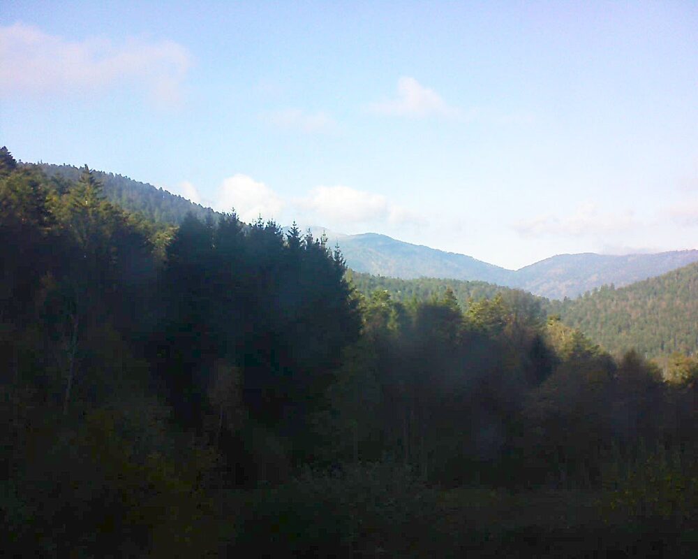 Le petit ballon (Alsace, Vosges) le 18.11.2025 à 14:00