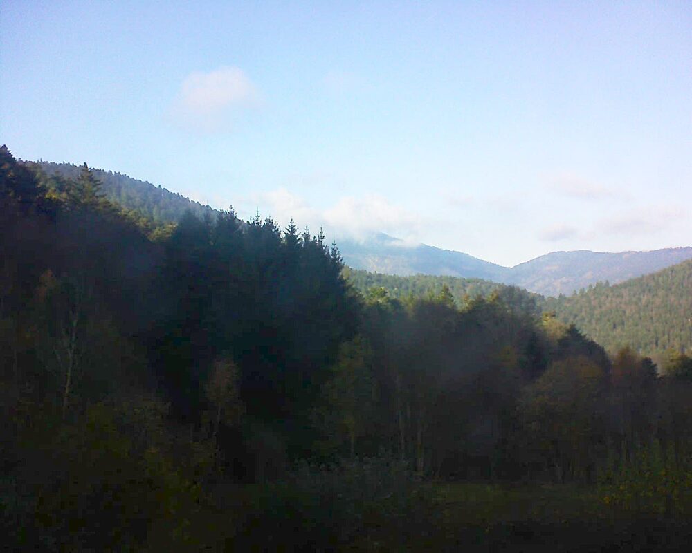 Le petit ballon (Alsace, Vosges) le 18.11.2025 à 14:15