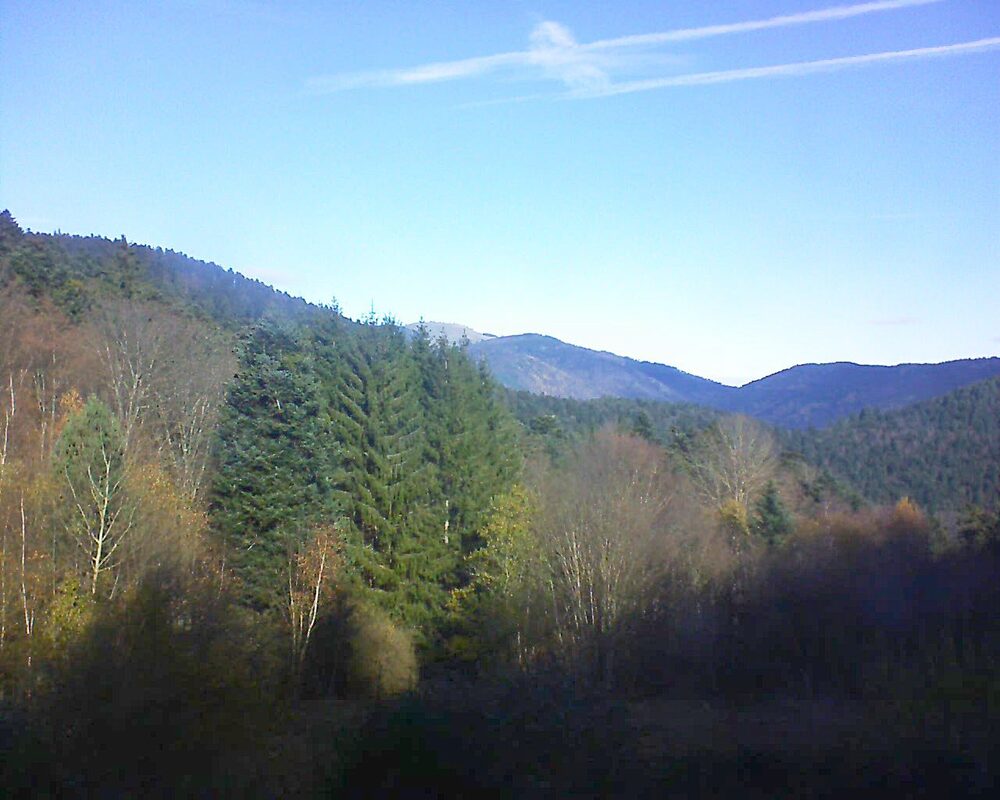 Le petit ballon vu depuis le Domaine Langmatt à Murbach le 19.11.2025 à 11:00 Le petit ballon (Alsace, Vosges) le 19.11.2025 à 11:00