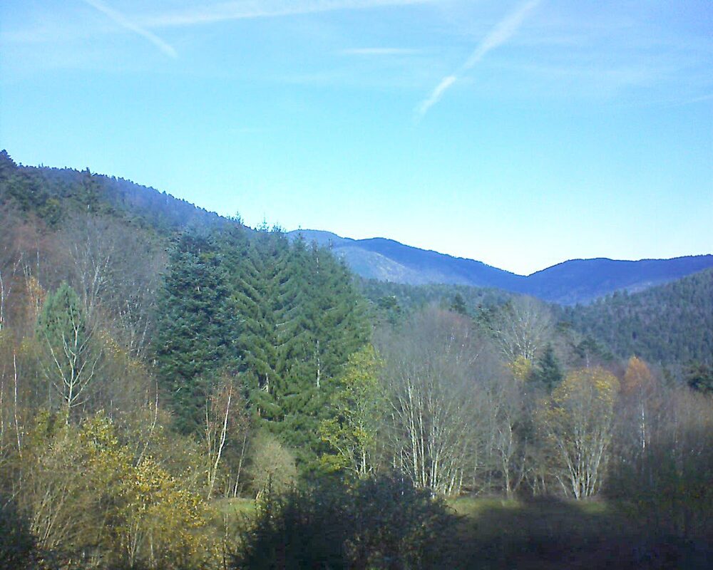 Le petit ballon (Alsace, Vosges) le 19.11.2025 à 11:45