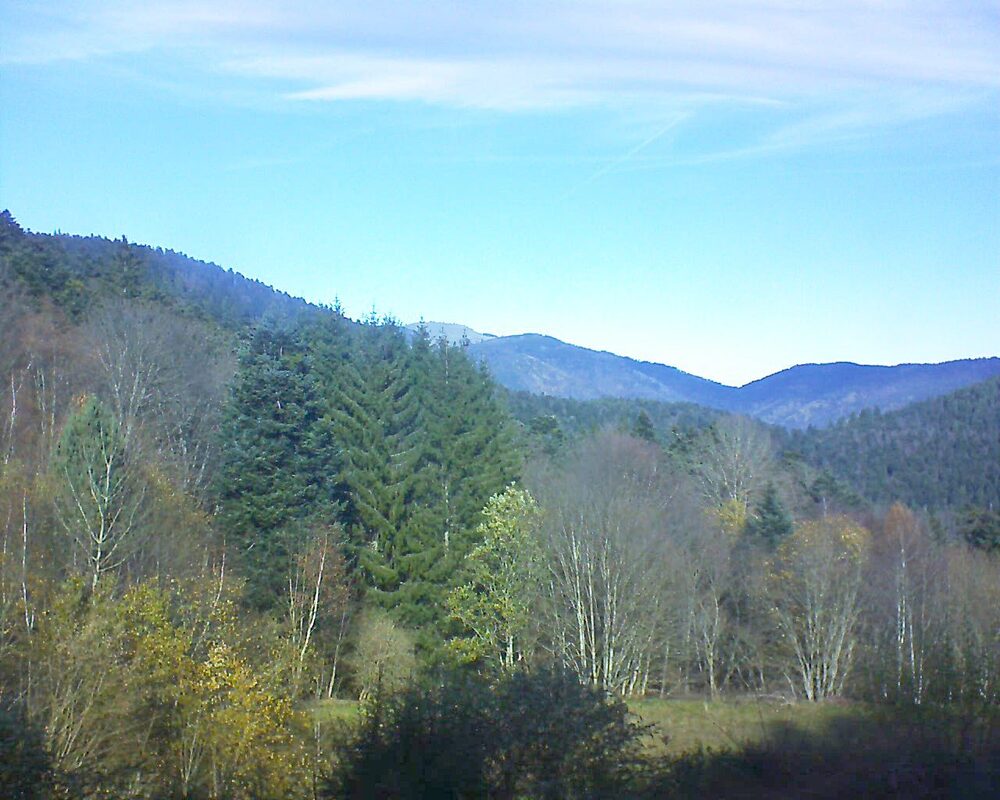 Le petit ballon (Alsace, Vosges) le 19.11.2025 à 12:00