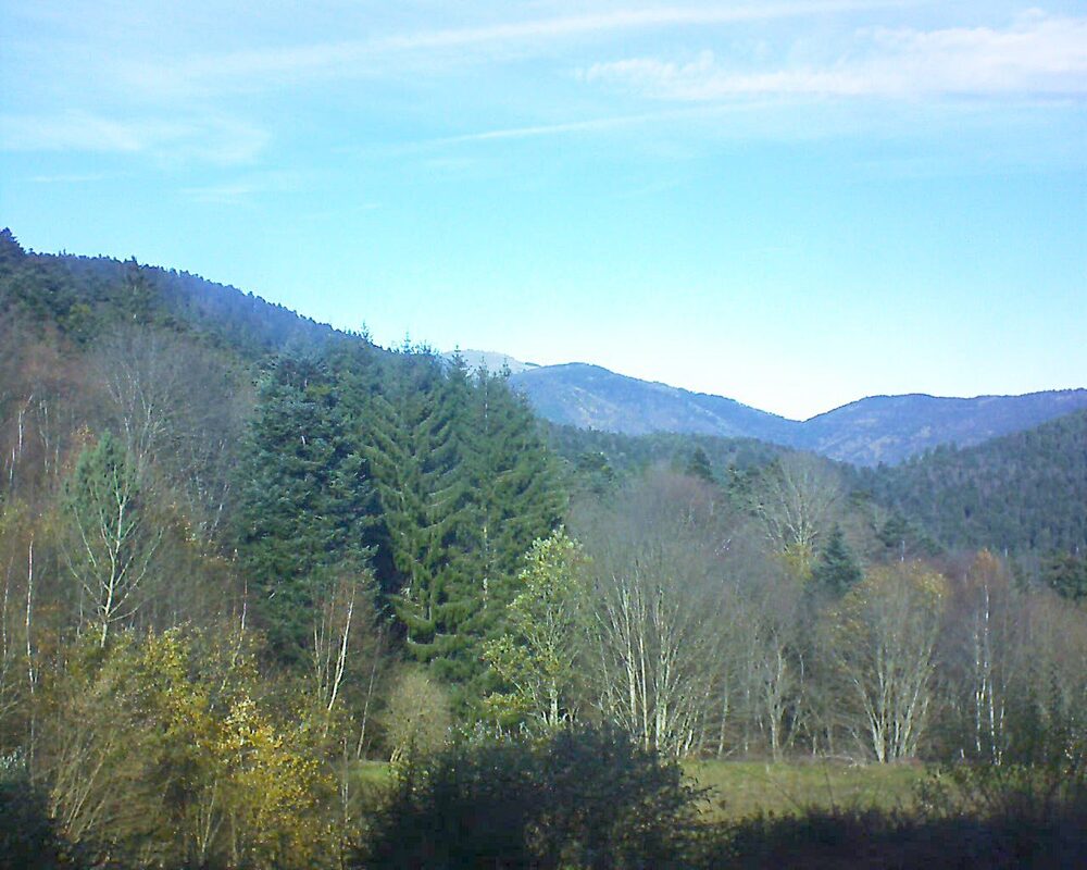 Le petit ballon (Alsace, Vosges) le 19.11.2025 à 12:15
