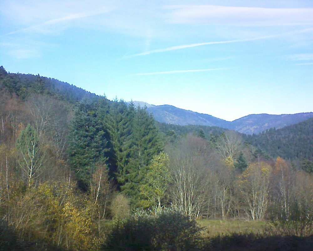Le petit ballon (Alsace, Vosges) le 19.11.2025 à 12:30