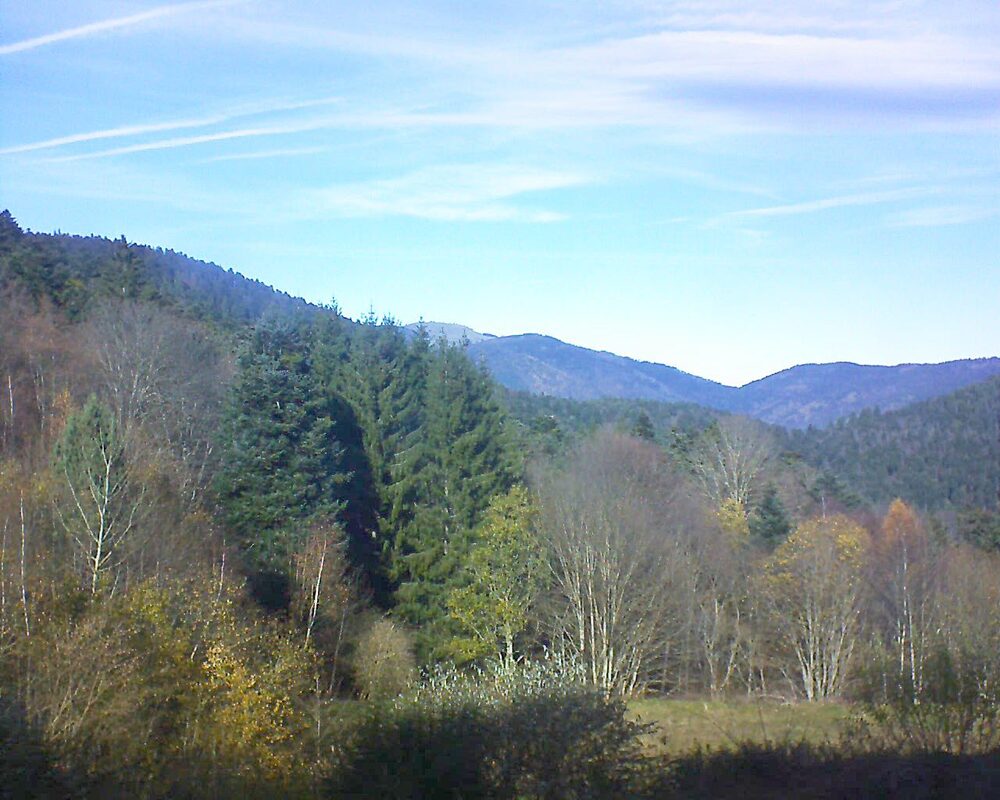 Le petit ballon (Alsace, Vosges) le 19.11.2025 à 12:45