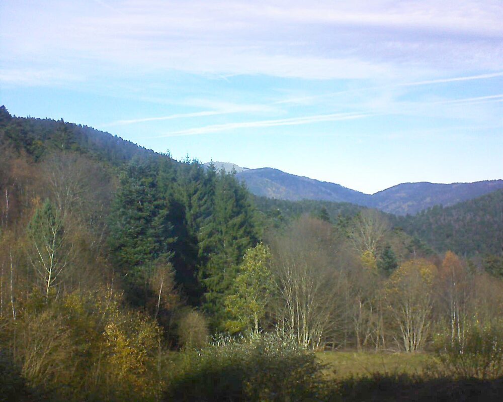 Le petit ballon (Alsace, Vosges) le 19.11.2025 à 13:00