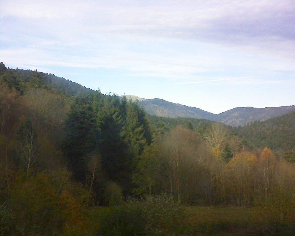 Le petit ballon (Alsace, Vosges) le 19.11.2025 à 13:30