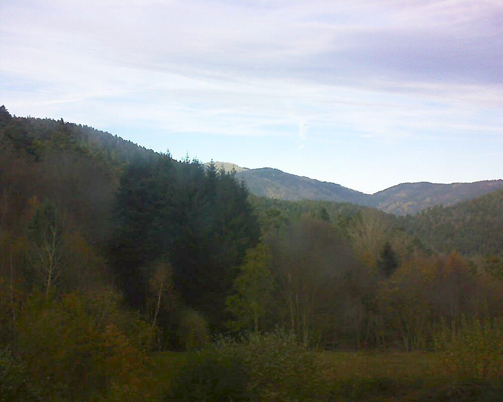 Le petit ballon (Alsace, Vosges) le 19.11.2025 à 13:45
