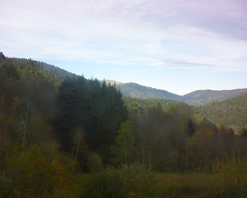 Le petit ballon (Alsace, Vosges) le 19.11.2025 à 14:00