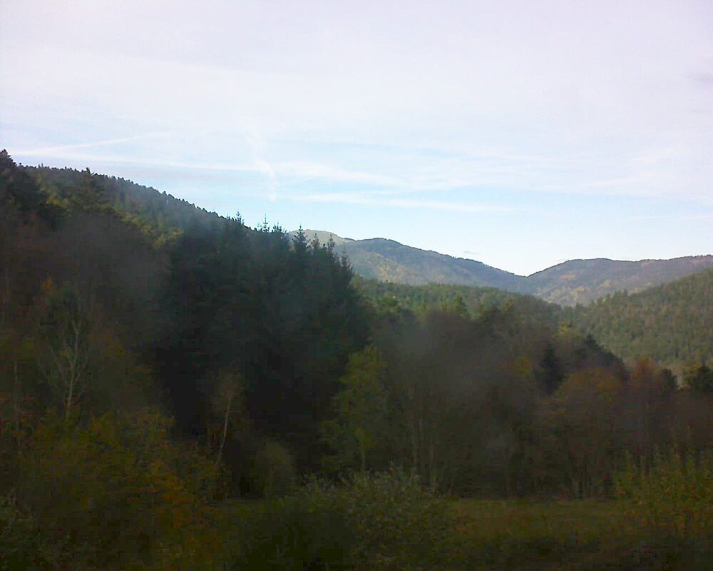 Le petit ballon (Alsace, Vosges) le 19.11.2025 à 14:15