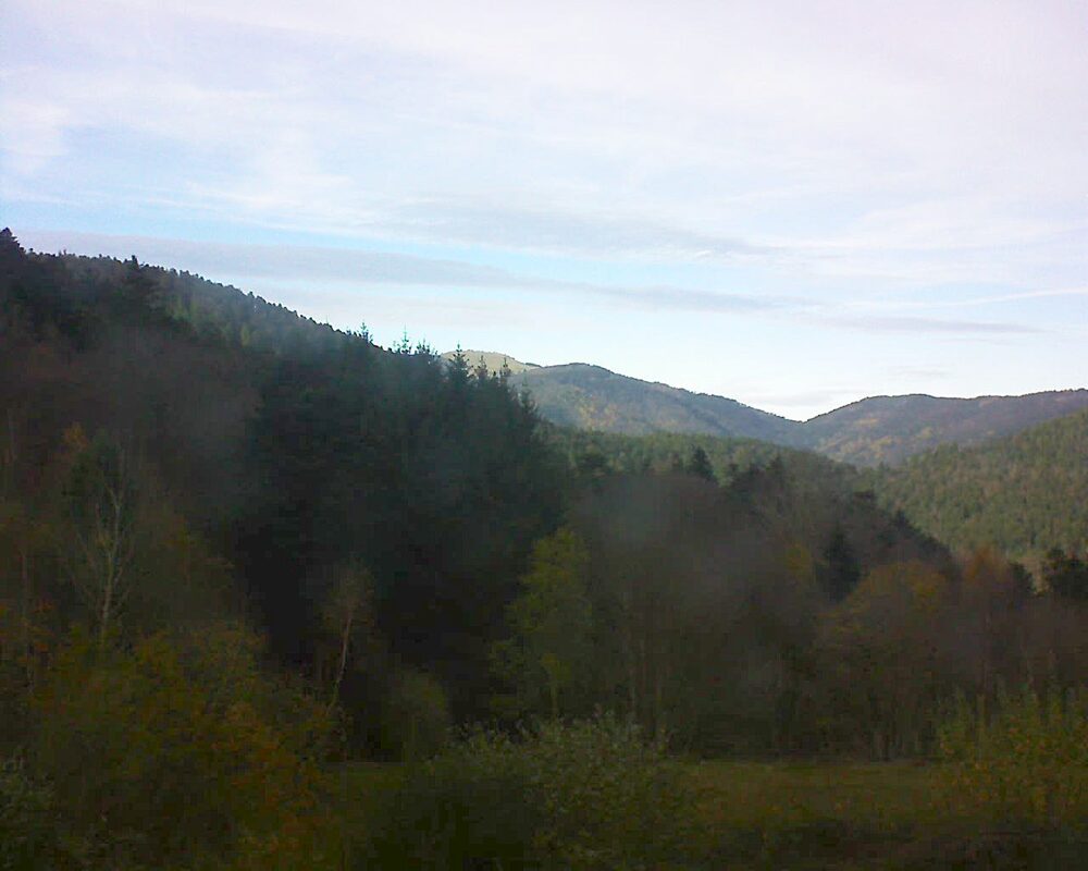 Le petit ballon (Alsace, Vosges) le 19.11.2025 à 14:45
