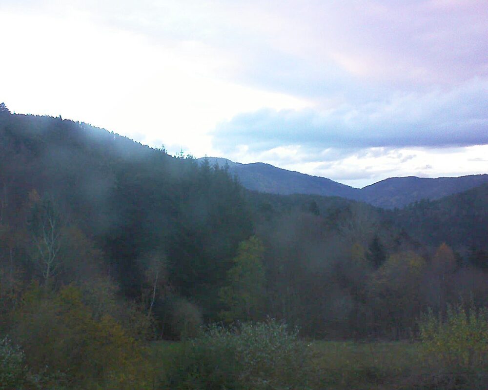 Le petit ballon (Alsace, Vosges) le 19.11.2025 à 16:45