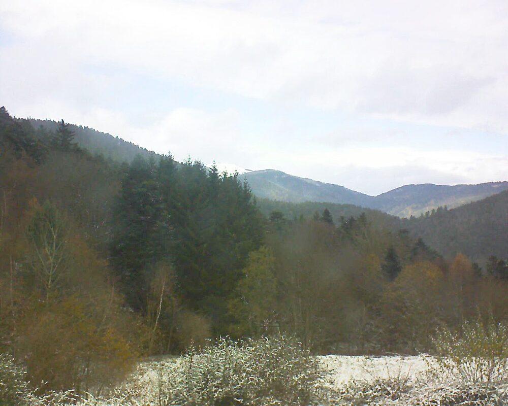 Le petit ballon (Alsace, Vosges) le 20.11.2025 à 12:45