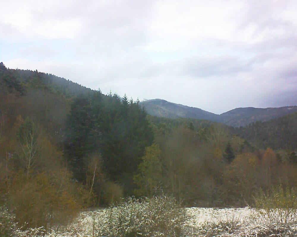 Le petit ballon (Alsace, Vosges) le 20.11.2025 à 14:00
