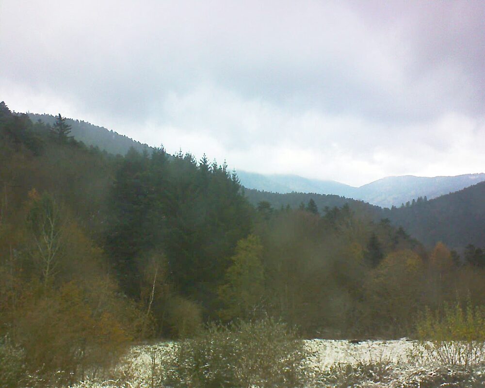 Le petit ballon (Alsace, Vosges) le 21.11.2025 à 14:00